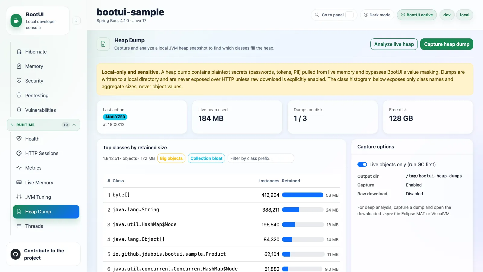 BootUI Heap Dump panel